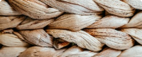 fbd342ca-popular-vendor-cover03.png